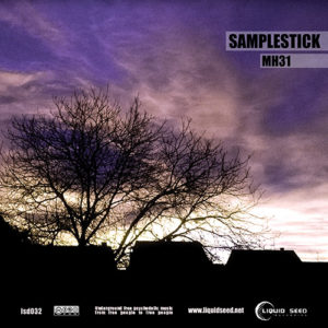 samplestick-mh31-300x300